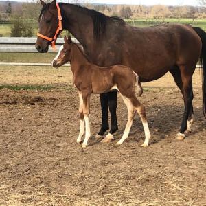 GRAZYNA ZA (’11) – Baie