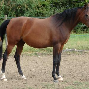 GRAZYNA ZA (’11) – Baie