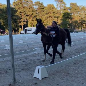 SAVANAH ZA (’15) – Baie