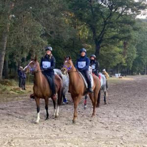 SAVANAH ZA (’15) – Baie