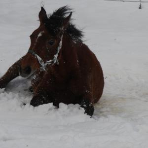 WANILIJA ZA (’15) – Baie