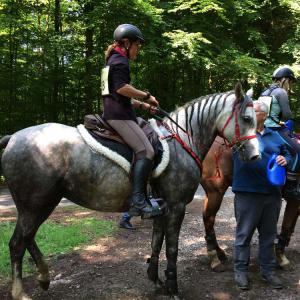 ENIGMA ZA Etalle 2018