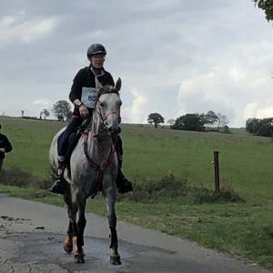 ENIGMA ZA 80km Cerfontaine