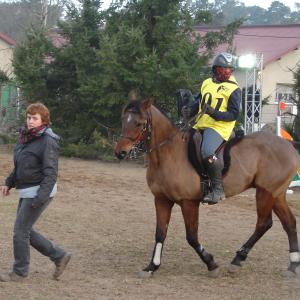 WIGOR ZA Fontainebleau