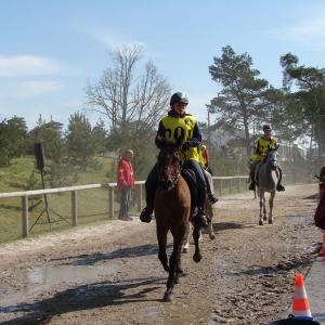 WIGOR ZA Fontainebleau