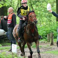 WIGOR ZA (’01) – Bai