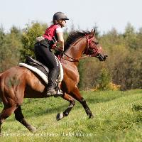 WIGOR ZA (’01) – Bai