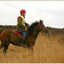 WIGOR ZA (’01) – Bai