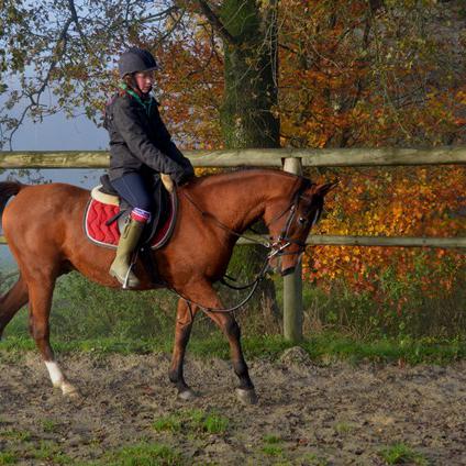 ELIOTT ZA (’03) – Bai