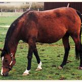 ZABAWA PL (’88) – Baie