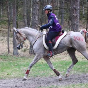 Balij - Fontainbleau